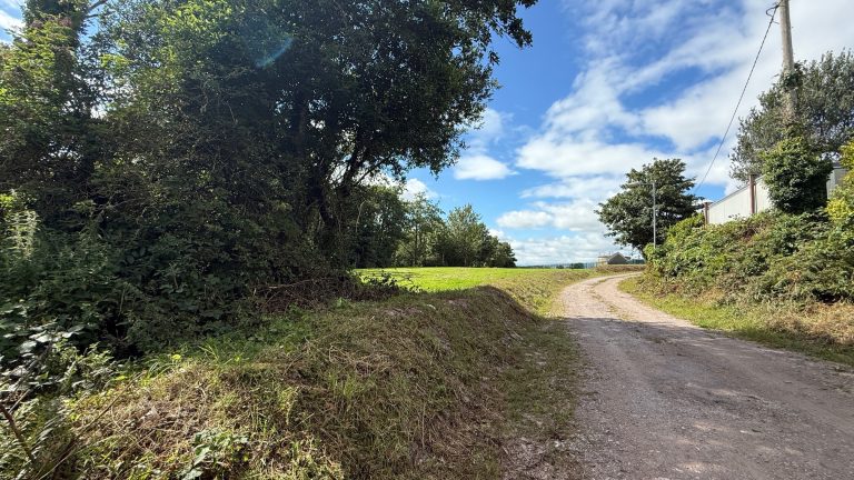 Site for sale in Currabally, Ballymore, Cobh, Co Cork